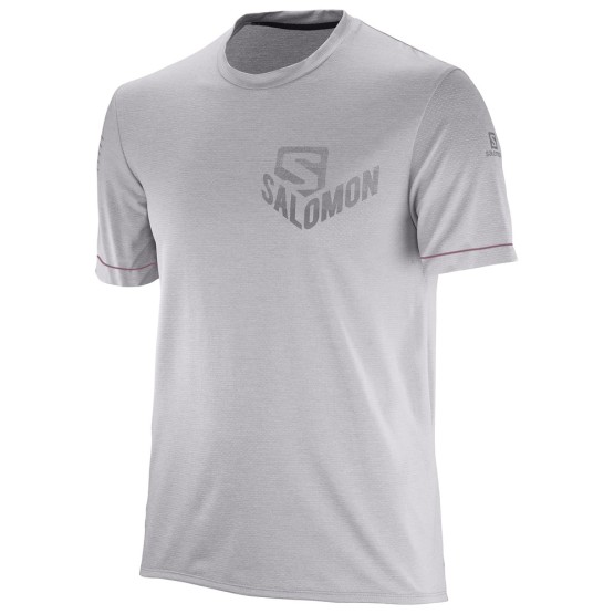 חולצת סלומון לגברים Salomon Pulse SS TEE - אפור