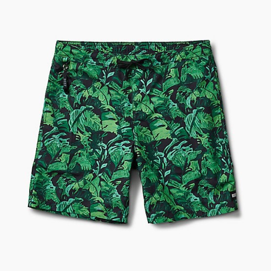 בגדי ים ריף לגברים Reef BEACH PALMS SWIMMER - ירוק