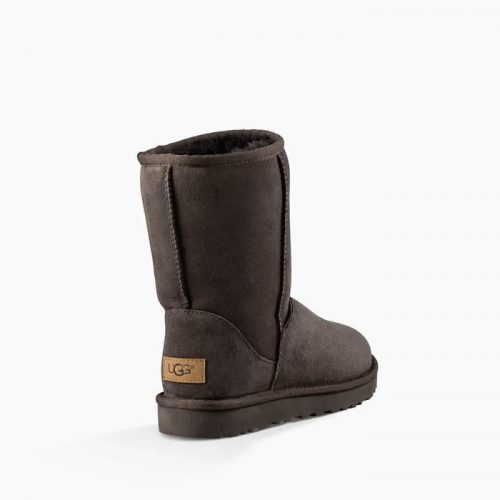 chocolate brown ugg