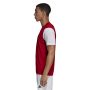 חולצת אימון אדידס לגברים Adidas Estro 19 JSY  - אדום