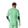 חולצת אימון אדידס לגברים Adidas Assita 17 GK - ירוק