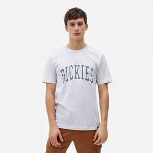 חולצת T Dickies לגברים Dickies Aitkin Tee - לבן הדפס
