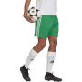 מכנס ספורט אדידס לגברים Adidas SQUADRA 21 - ירוק