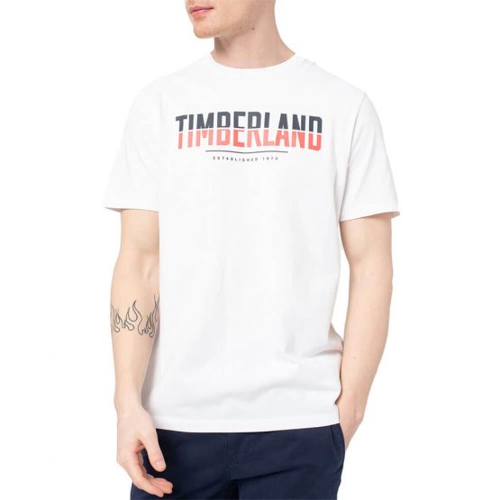 חולצת T טימברלנד לגברים Timberland Linear Logo Two Techniq - לבן