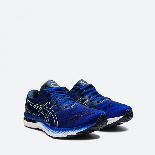 asics gel nimbus 22 gore tex