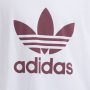 חולצת T אדידס לגברים Adidas Originals Adicolor Classics Trefoil Tee - לבן