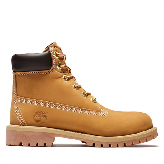 מגפי טימברלנד לנשים Timberland 6 In Waterproof Boot - חום