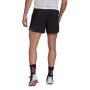 מכנס ספורט אדידס לגברים Adidas Terrex Agravic Shorts - שחור