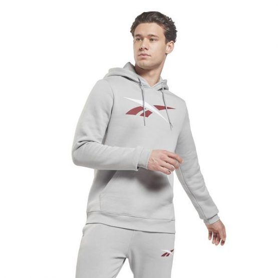 סווטשירט ריבוק לגברים Reebok VECTOR OTH HOODIE - אפור בהיר