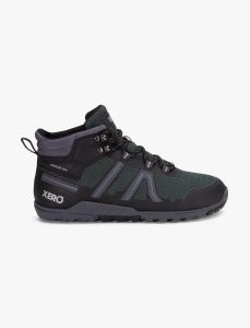 נעלי טיולים Xero לגברים Xero Xcursion Fusion - ירוק