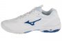 כדור רשת מיזונו לגברים Mizuno  Wave Stealth 6 - לבן