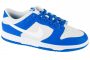 נעלי סניקרס נייק לגברים Nike  Dunk Low - אפור