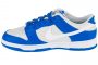 נעלי סניקרס נייק לגברים Nike  Dunk Low - אפור